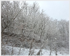  2024Ÿ��7634  �Ӿ߰��