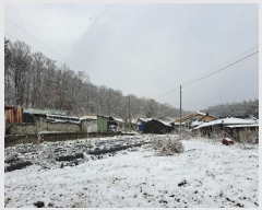  2024Ÿ��7634  �Ӿ߰��