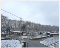  2024Ÿ��7634  �Ӿ߰��