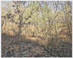  2024Ÿ��7634  �Ӿ߰��