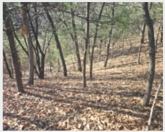  2024Ÿ��7634  �Ӿ߰��