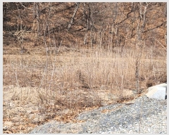  2024Ÿ183  õ   653      ()