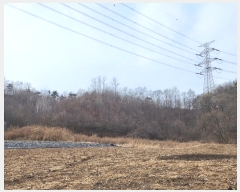  2024Ÿ183  õ   653      ()