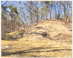  2024Ÿ183  õ   653      ()