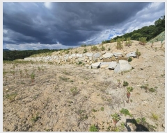  2024Ÿ��268 ��� ��õ�� ���� ������ 407-1      ����(�Ӿ�)���