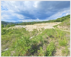  2024Ÿ��268 ��� ��õ�� ���� ������ 407-1      ����(�Ӿ�)���