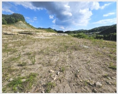  2024Ÿ��268 ��� ��õ�� ���� ������ 407-1      ����(�Ӿ�)���