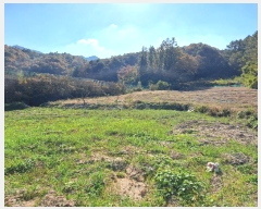  2024Ÿ��7160 ��� ��õ�� ������ ��� 421      ����(��1)���