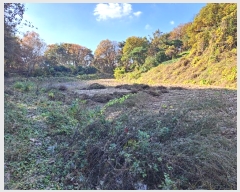  2024Ÿ��7160 ��� ��õ�� ������ ��� 421      ����(��1)���