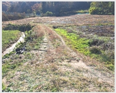  2024Ÿ��7160 ��� ��õ�� ������ ��� 421      ����(��1)���