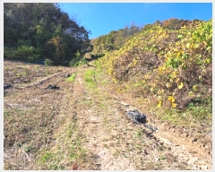  2024Ÿ��7160 ��� ��õ�� ������ ��� 421      ����(��1)���