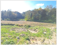  2024Ÿ��7160 ��� ��õ�� ������ ��� 421      ����(��1)���