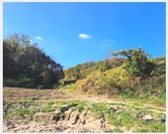  2024Ÿ��7160 ��� ��õ�� ������ ��� 421      ����(��1)���