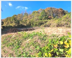  2024Ÿ��7160 ��� ��õ�� ������ ��� 421      ����(��1)���