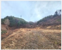  2024Ÿ��70  ����