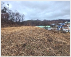  2024Ÿ��70  ����