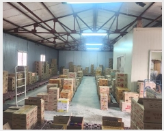  2024Ÿ��70  ����