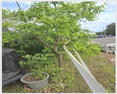  2024Ÿ��353 ��� ��õ�� ������ �ݻ긮 86      ����(����)���