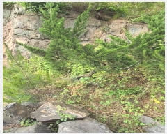  2024Ÿ��353 ��� ��õ�� ������ �ݻ긮 86      ����(����)���