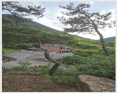  2024Ÿ��353 ��� ��õ�� ������ �ݻ긮 86      ����(����)���