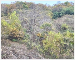  2024Ÿ��841  �����