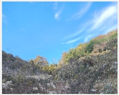  2024Ÿ��841  �����