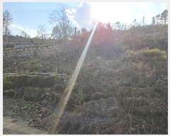  2024Ÿ902  õ õ  183-6      (1)