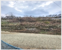  2024Ÿ902  õ õ  183-6      (1)