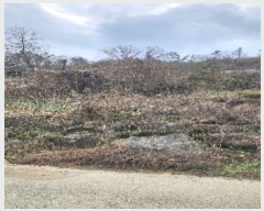  2024Ÿ902  õ õ  183-6      (1)