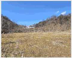  2024Ÿ1011   簭  756-1      ,â