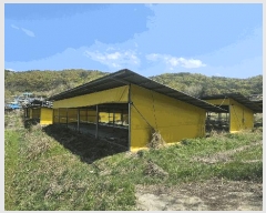  2024Ÿ��1042  â�����