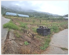  2024Ÿ��11223  �����