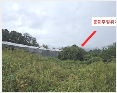  2024Ÿ��11223  �����