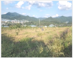  2024Ÿ��11223  �����