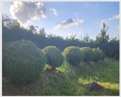  2024Ÿ��11223  �����