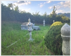  2024Ÿ��11223  �����