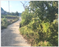  2024Ÿ��11223  �����