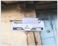  2024Ÿ��11414  �������