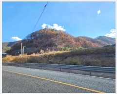  2024Ÿ��11506 ��� ������ ���� �λ� ��2-3      ����(�Ӿ�)���