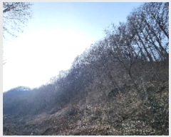  2024Ÿ��11506 ��� ������ ���� �λ� ��2-3      ����(�Ӿ�)���