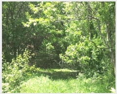  2024Ÿ��11674  ����