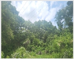  2024Ÿ��11674  ����