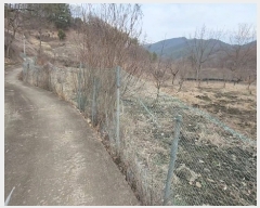  2024Ÿ��148 ��� ��õ�� ���ϸ� ������ 357      ����(��)���