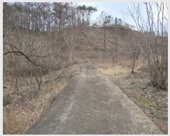  2024Ÿ��148 ��� ��õ�� ���ϸ� ������ 357      ����(��)���