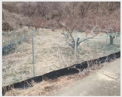  2024Ÿ��148 ��� ��õ�� ���ϸ� ������ 357      ����(��)���