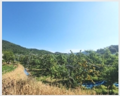  2024Ÿ��476 ��� ��õ�� û���� �ɿ��� 246      ����(��1)���