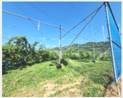  2024Ÿ��476 ��� ��õ�� û���� �ɿ��� 246      ����(��1)���