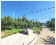  2024Ÿ��476 ��� ��õ�� û���� �ɿ��� 246      ����(��1)���