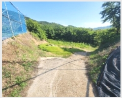  2024Ÿ��476 ��� ��õ�� û���� �ɿ��� 246      ����(��1)���