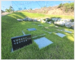  2024Ÿ��476 ��� ��õ�� û���� �ɿ��� 246      ����(��1)���